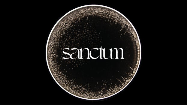 sanctum logo
